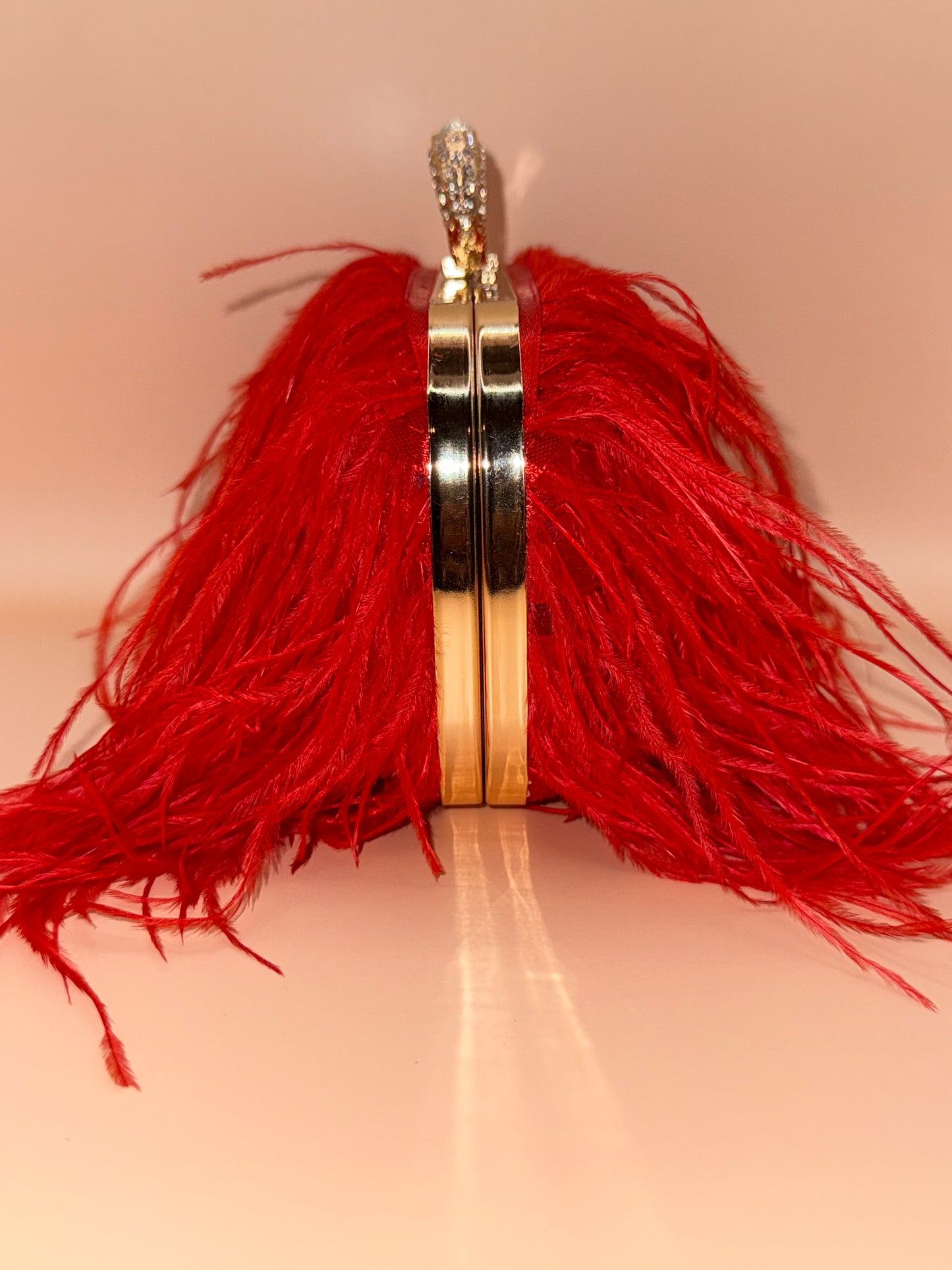 Red Ostrich Feather Clutch